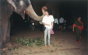 Temple elephant blessing         